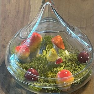 Adorable little mushroom garden in a glass holder